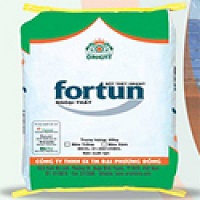 Bột Trét Ngoại Thất Fortun + SPLENDI Màu Trắng 40kg