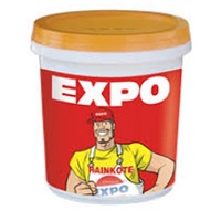 Sơn Ngoại Thất EXPO Rainkote M Màu Thường  4.375Lit